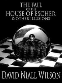 The Fall of the House of Escher &amp; Other Illusions