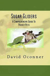 Sugar Gliders
