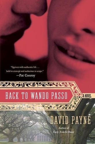David Payne - Back to Wando Passo - A Novel.