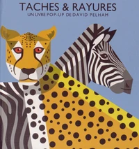 Taches & rayures
