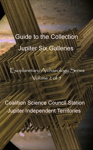  David Petersen et  Mandy Conti - Jupiter Six Galleries - Exoplanetary Archaeology, #2.