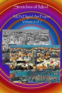  David Petersen et  Mandy Conti - Stretches of Mind - M.I.N.Digital Art Project, #6.