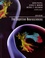 The Cognitive Neurosciences 6th edition