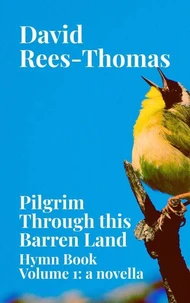 Pilgrim Through This Barren Land