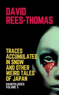  David Rees-Thomas - Traces Accumulated in Snow and other Weird Tales - Hauntologies, #5.