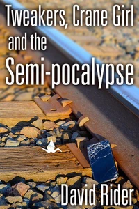 Tweakers, Crane Girl and the Semi-pocalypse