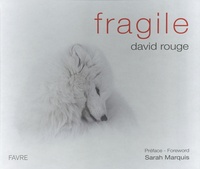 David Rouge - Fragile.