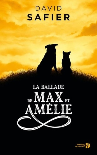 La ballade de Max et Amélie - Occasion