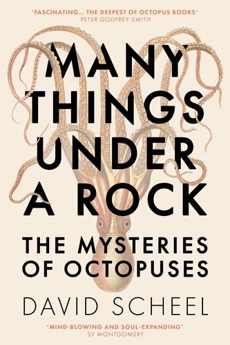 Many Things Under a Rock. The Mysteries of Octopuses