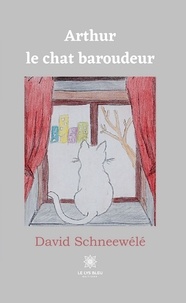 David Schneewélé - Arthur le chat baroudeur.