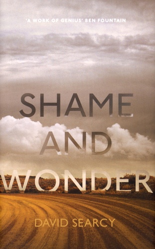 David Searcy - Shame and Wonder - Essays.