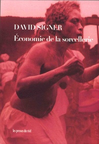 David Signer - Economie de la sorcellerie.