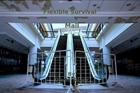 Flexible Survival - Mall