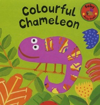David Sim - Colourful Chameleon.