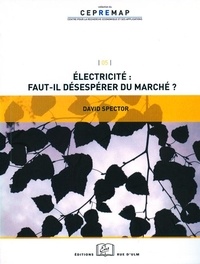 David Spector - Electricité : faut-il désespérer du marché ?.