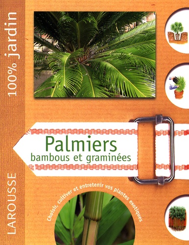 David Squire - Palmiers, bambous et graminées.