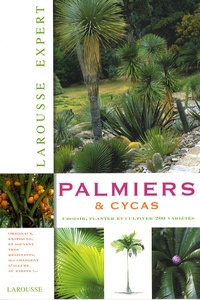 David Squire - Palmiers et cycas.