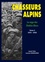 Chasseurs alpins, la saga des diables bleus. Tome 2, 1915-1918