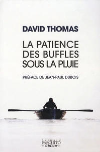La Patience des buffles sous la pluie