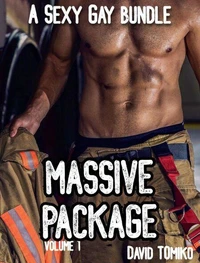Massive Package - A Sexy Gay Bundle Volume 1