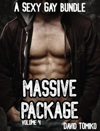 Massive Package - A Sexy Gay Bundle Volume 4