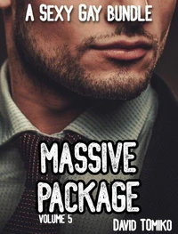 Massive Package - A Sexy Gay Bundle Volume 5