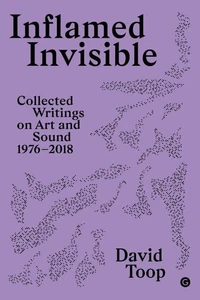 Inflamed Invisible : Collected Writings on Art and Sound, 1976-2018 (Hardback) /anglais