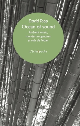 Ocean of sound. Ambient music, mondes imaginaires et voix de l'éther