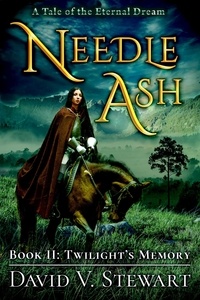  David V. Stewart - Needle Ash Book 2: Twilight's Memory - Needle Ash, #2.