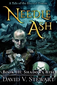  David V. Stewart - Needle Ash Book 3: Shadows Rise - Needle Ash, #3.