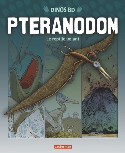 David West et Terry Riley - Ptéranodon - Le reptile volant.