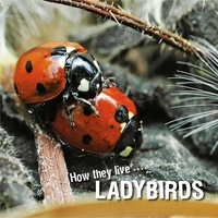  David Withrington et  Ivan Esenko - How they live... Ladybirds - Learn All There Is to Know About These Animals!.