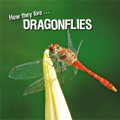 David Withrington et Ivan Esenko - How they live... Dragonflies - Learn All There Is to Know About These Animals!.