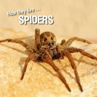 David Withrington et Ivan Esenko - How they live... Spiders - Learn All There Is to Know About These Animals!.
