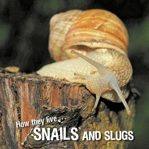 David Withrington et Ivan Esenko - How they live... Snails and Slugs - Learn All There Is to Know About These Animals!.
