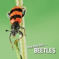 David Withrington et Ivan Esenko - How they live... Beetles - Learn All There Is to Know About These Animals!.