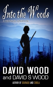  David Wood - Into the Woods.