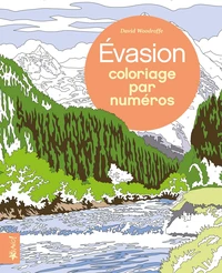 Evasion