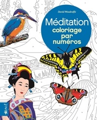 Ebooks pour téléchargements gratuits Méditation in French DJVU PDF par David Woodroffe 9782896703555
