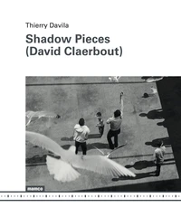 Shadow Pieces (David Claerbout)