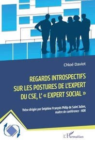 Regards introspectifs sur les postures de l'expert du CSE, l'"expert social"