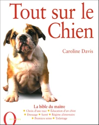 Tout sur le Chien