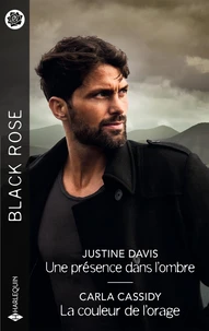 Une présence dans l'ombre ; La couleur de l'orage