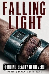 Falling Light