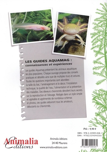 Livre : L'Axolotl : Ambystoma mexicanum : Animalia Edition