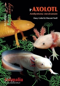 Davy Gebel et Vincent Noël - L'axolotl - Ambystoma mexicanum.