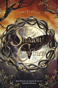 The Shadow Cabinet
