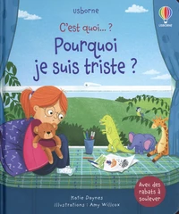 Pourquoi je suis triste ?