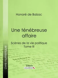 Une ténébreuse affaire