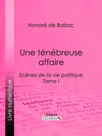 Une ténébreuse affaire